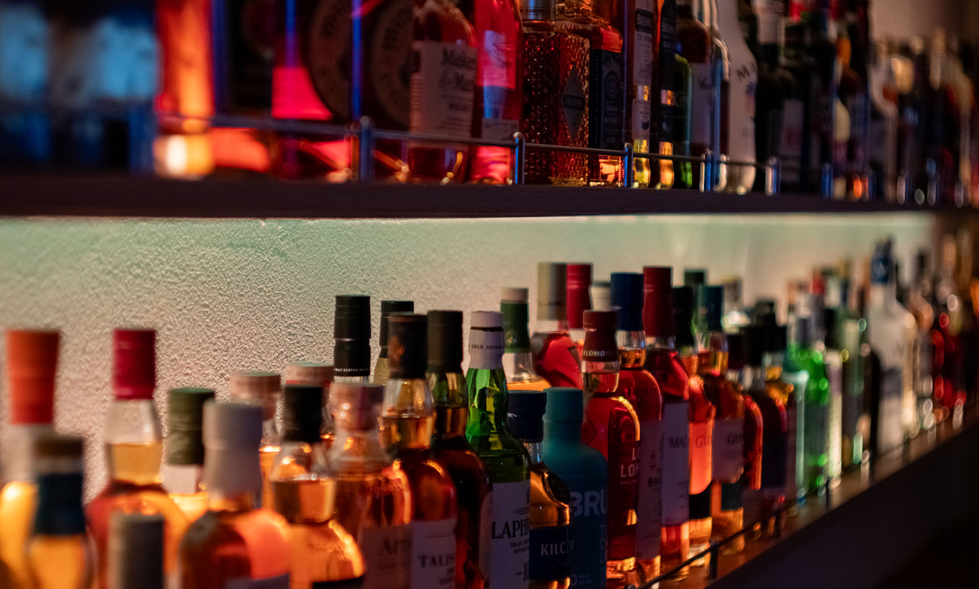燈裏の一杯